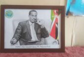 Sisulu Arts