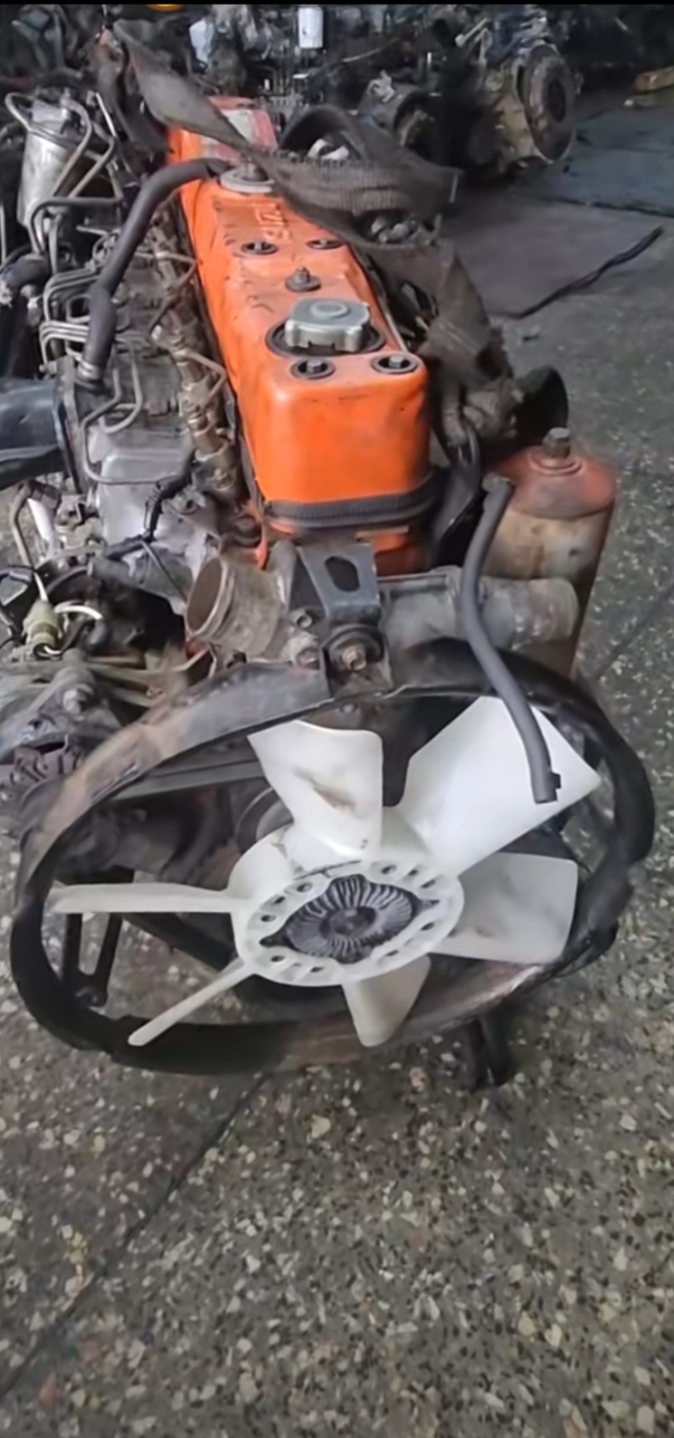 Wilson Autospaces
