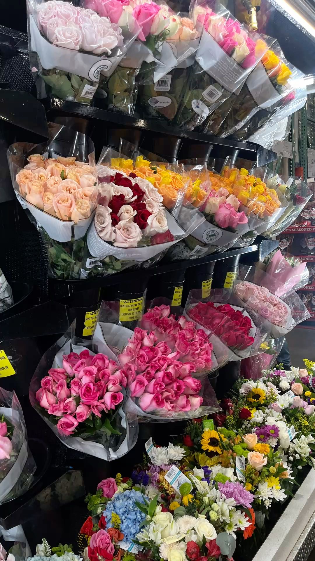 Floral Bliss